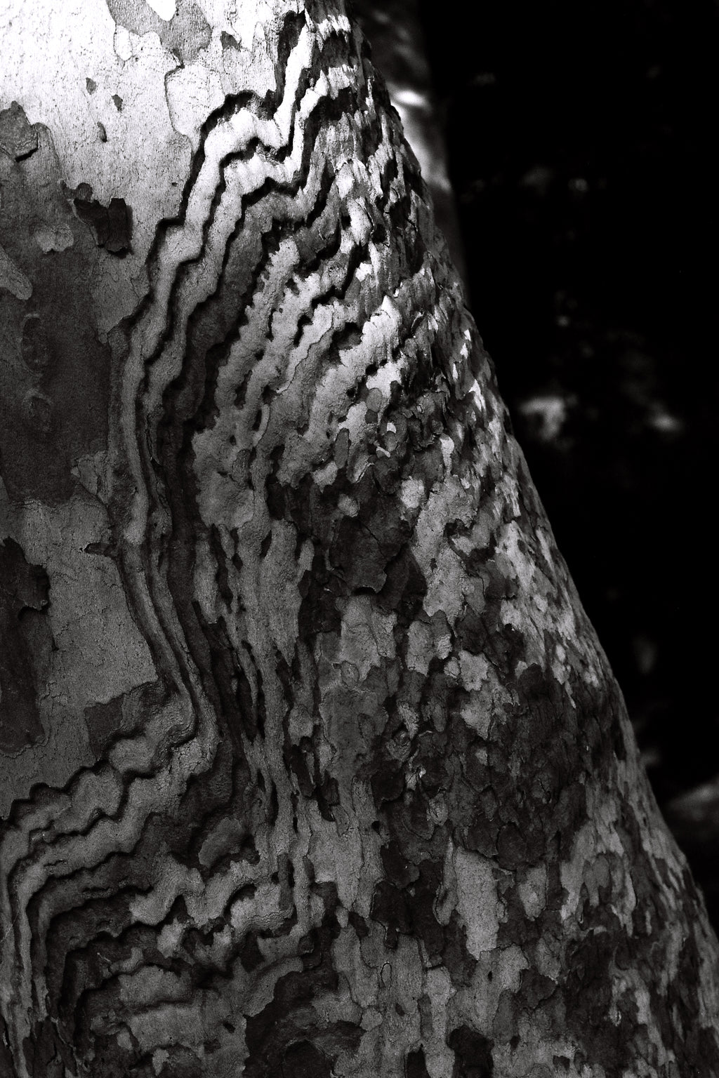 Ripples in Time
